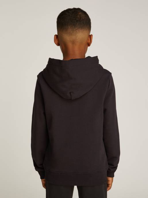 CALVIN KLEIN JEANS INST. LOGO REG. TERRY HOODIE