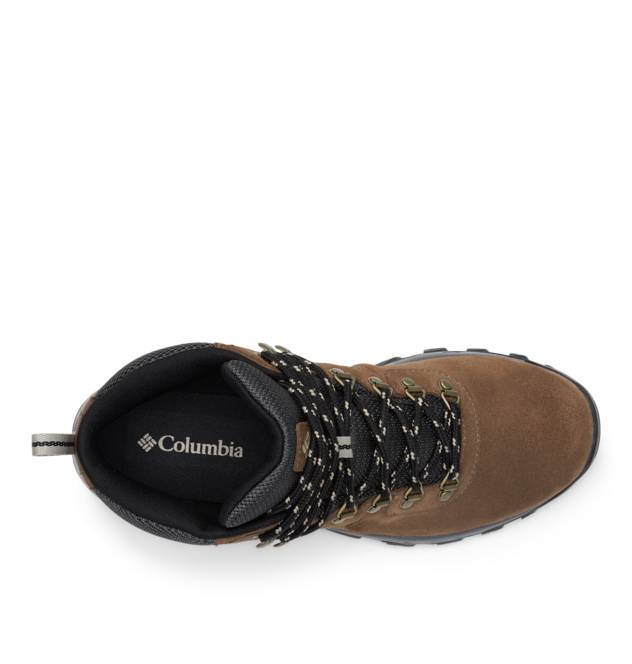 COLUMBIA Wanderstiefel "Newton Ridge Plus II Suede"