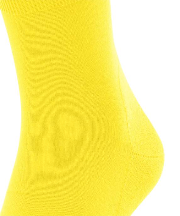 FALKE Socken Run