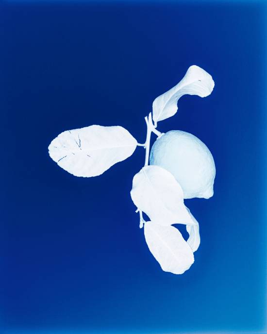 GANT GANT Eau De Toilette 100 Ml