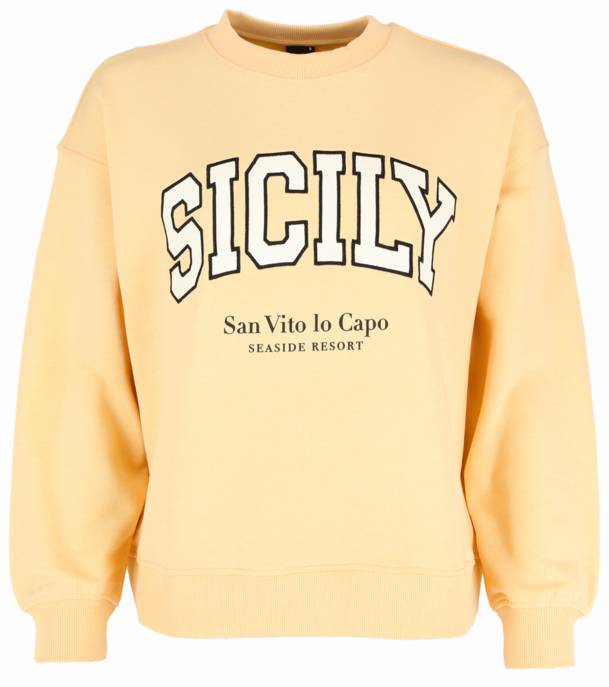 ginatricot Sweatshirt
