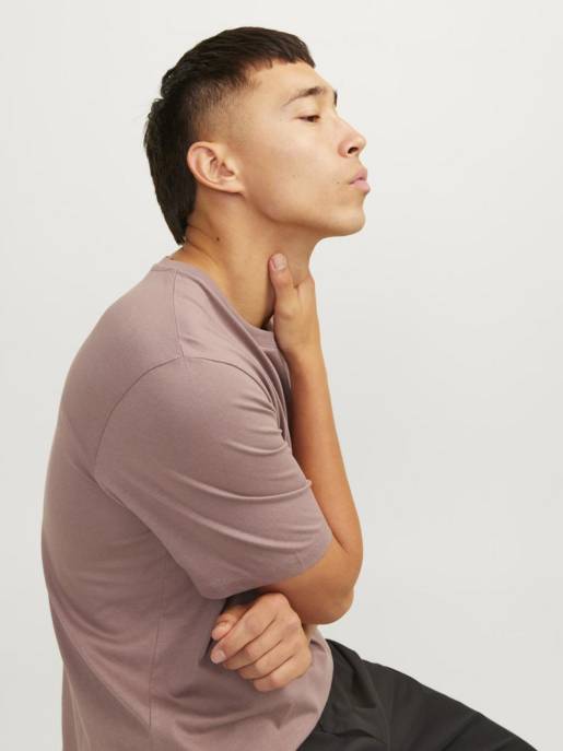 JACK&JONES JJEORGANIC BASIC TEE SS O-NECK NOOS