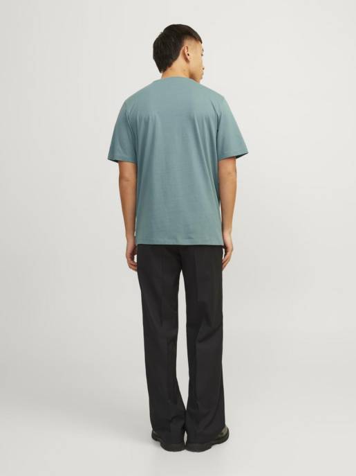 JACK&JONES JJEORGANIC BASIC TEE SS O-NECK NOOS