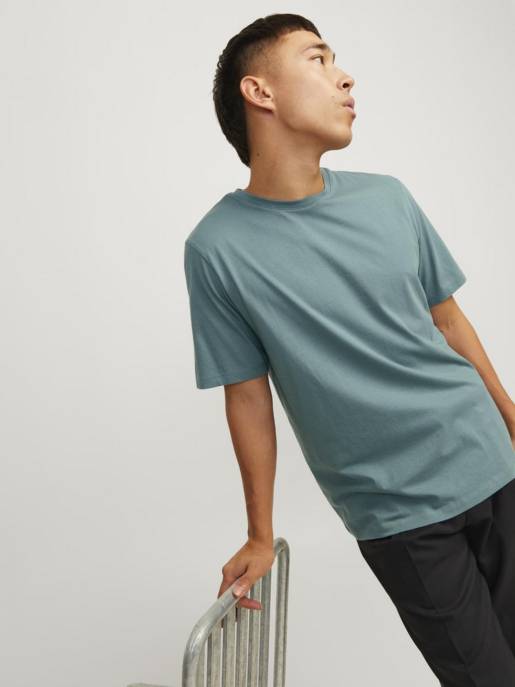 JACK&JONES JJEORGANIC BASIC TEE SS O-NECK NOOS