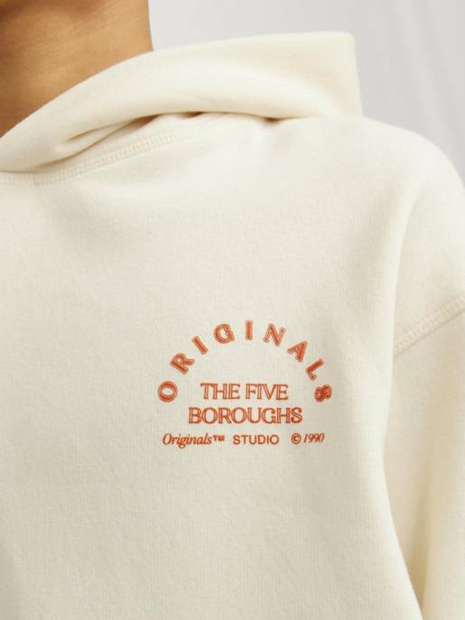 JACK&JONES JORBROOKLYN BACK SWEAT HOOD JNR