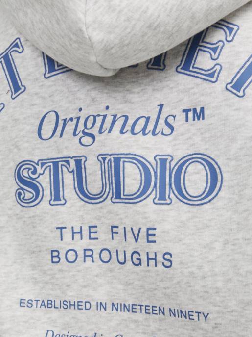 JACK&JONES JORBROOKLYN BACK SWEAT HOOD JNR
