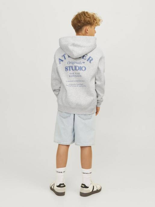 JACK&JONES JORBROOKLYN BACK SWEAT HOOD JNR