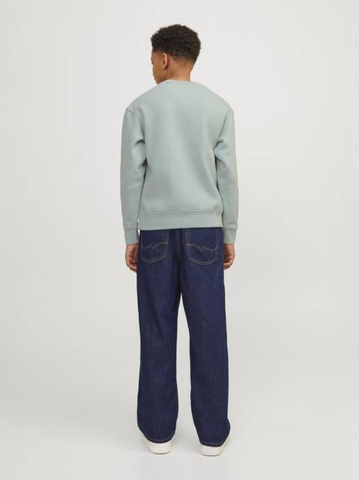 JACK&JONES JORVESTERBRO SWEAT CREW NECK BN MNI