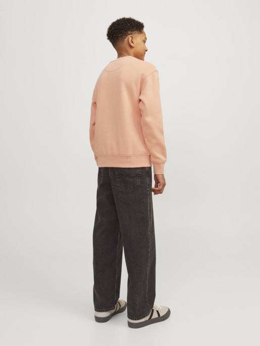 JACK&JONES JORVESTERBRO SWEAT CREW NECK BN MNI