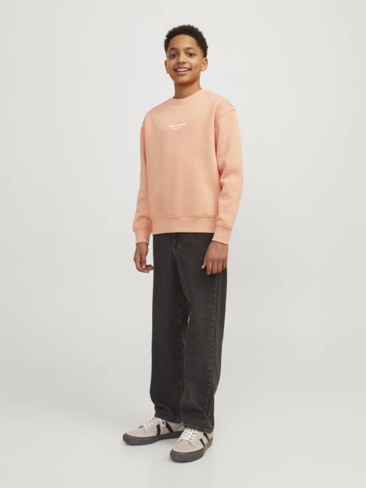 JACK&JONES JORVESTERBRO SWEAT CREW NECK BN MNI