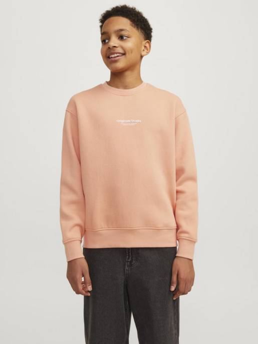 JACK&JONES JORVESTERBRO SWEAT CREW NECK BN MNI