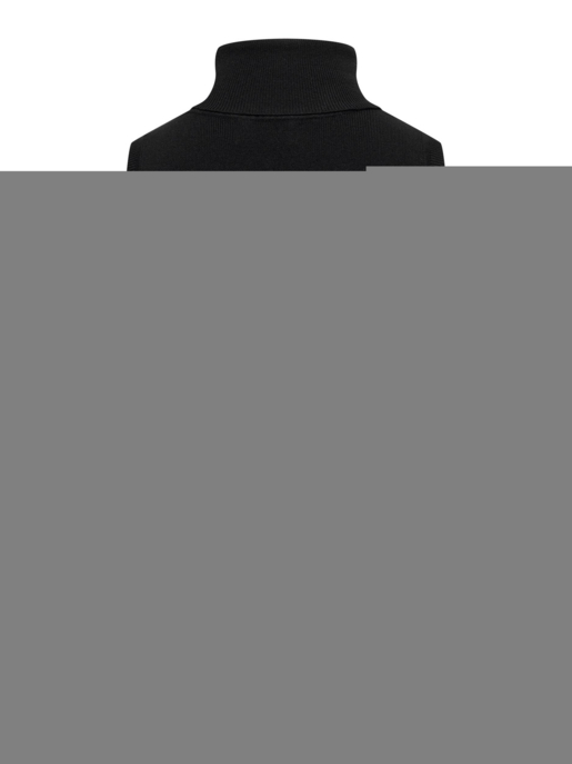 JDY JDYCIRKELINE S/L ROLL NECK TOP KNT