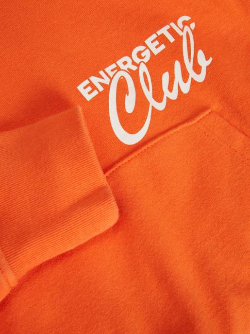 JJXX JXBAILEY LS RELAXED VINT HOODIE SN