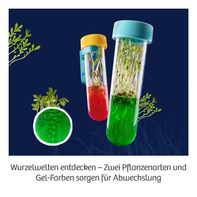 Kosmos Fun Science Aqua-Gel Pflanzen
