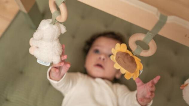 LITTLE DUTCH Spieltrapez Little Farm