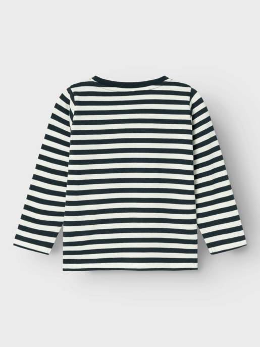 name it NMMSALMO NREG LS TOP NOOS