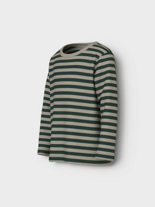 name it NMMSALMO NREG LS TOP NOOS