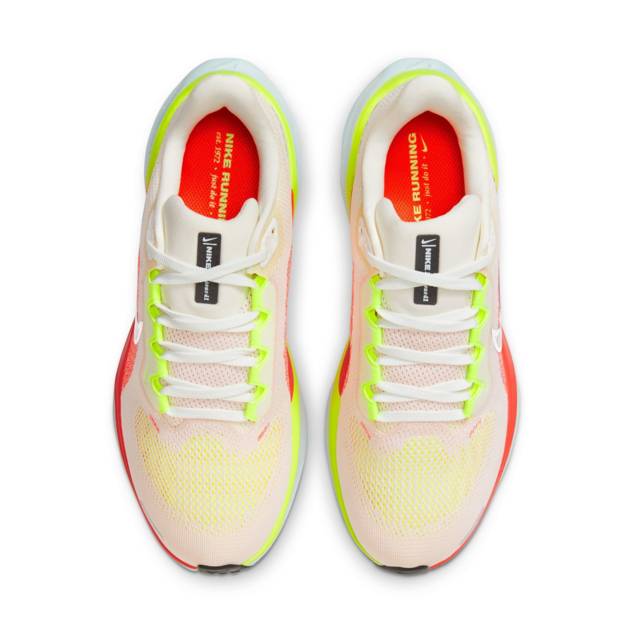 NIKE Straßenlaufschuh "Nike Pegasus 41"