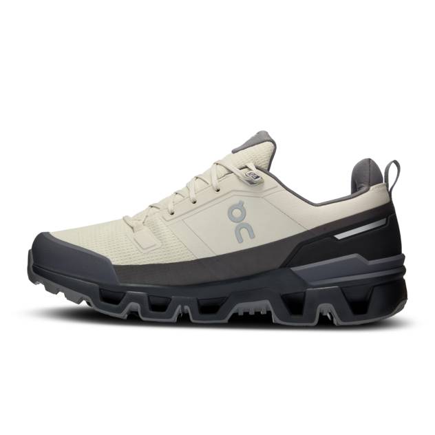 ON Multifunktionsschuh "Cloudwander Waterproof"