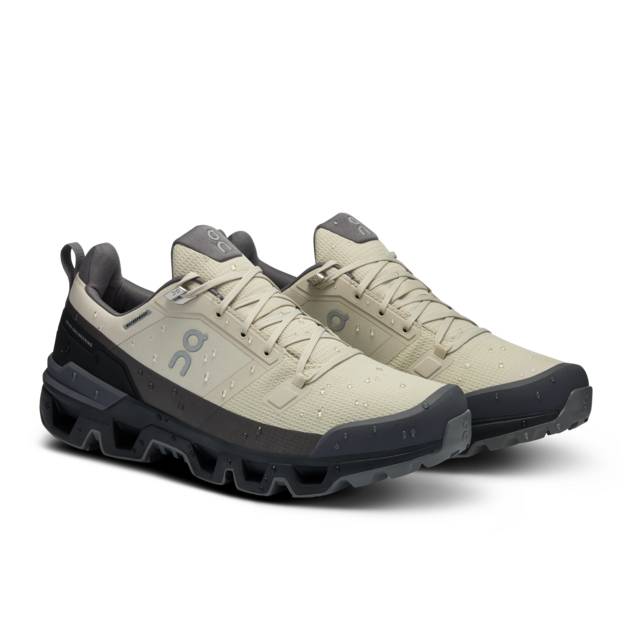ON Multifunktionsschuh "Cloudwander Waterproof"
