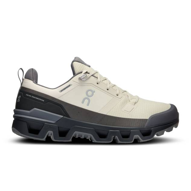 ON Multifunktionsschuh "Cloudwander Waterproof"