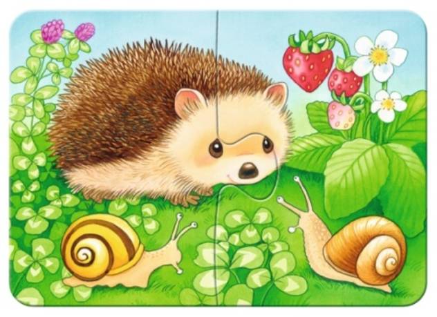 Ravensburger Ravensburger 06952 My First Puzzle Süße Gartenbewohner 2 / 4 / 6 / 8 Teile