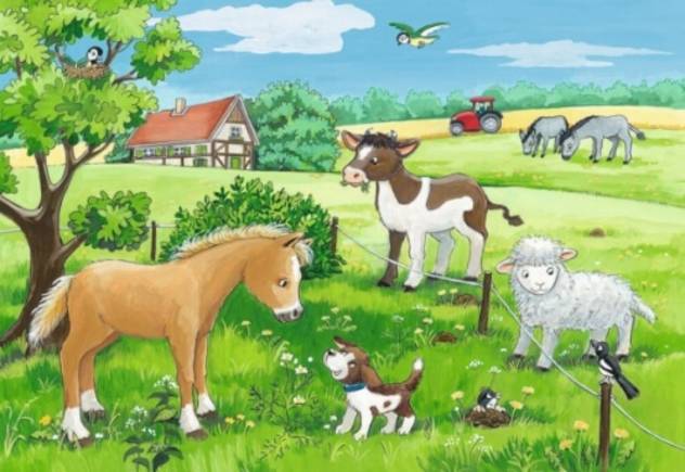 Ravensburger Ravensburger 07582 Puzzle Tierkinder Auf Dem Land 2 X 12 Teile