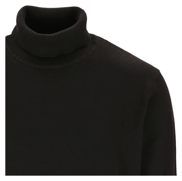 REDMOND Rollkragenpullover