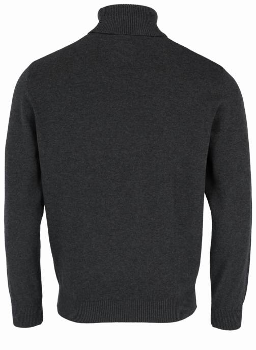 REDMOND Rollkragenpullover