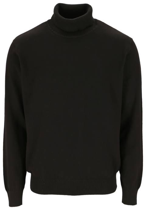 REDMOND Rollkragenpullover