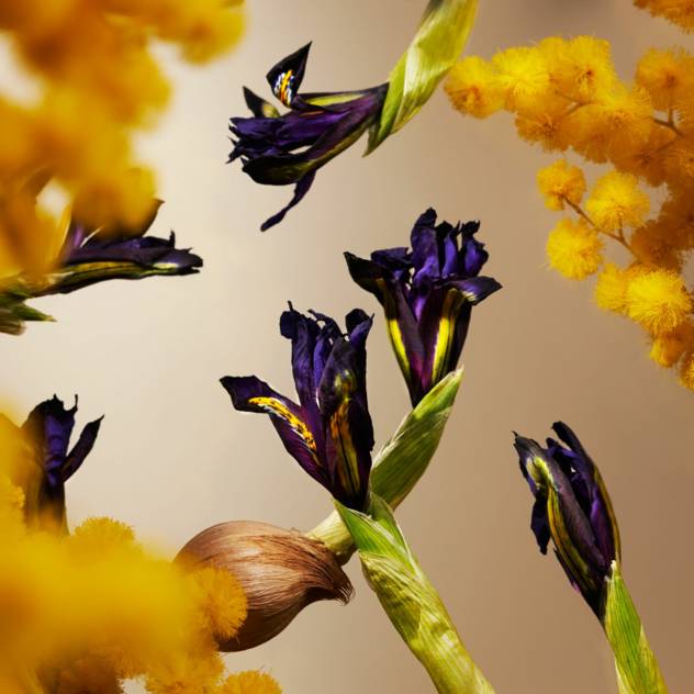 RITUALS Orris Mimosa Car Perfume