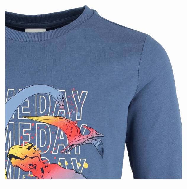 S. Oliver Longsleeve Mit Frontprint