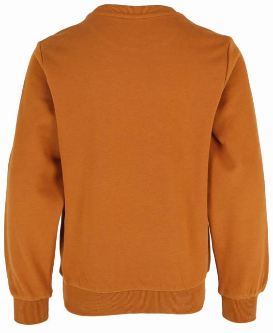 S. Oliver Sweatshirt