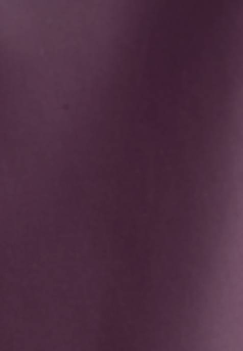 SEIDENSTICKER BUSINESS KENT PATCH5