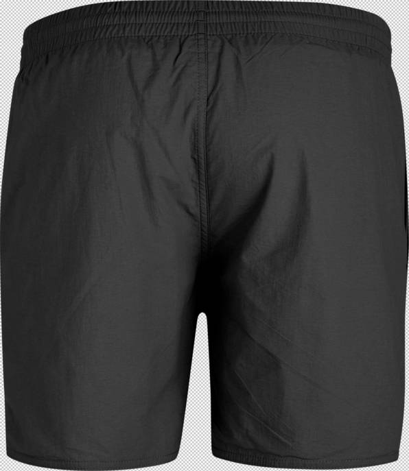 Speedo ESSS 16 WATERSHORT AM BLK