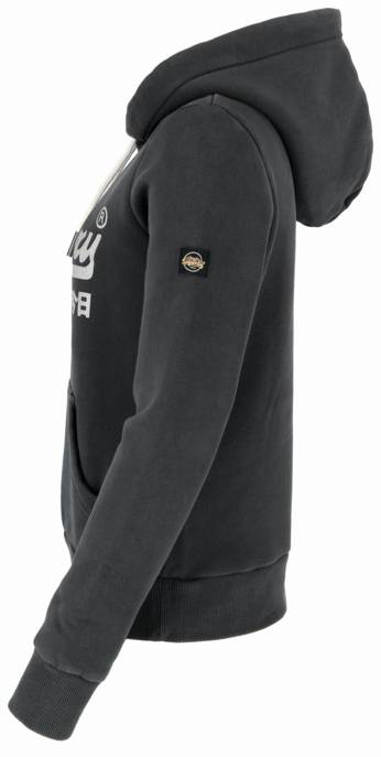 SUPERDRY Hoodie "Embellished VL Graphic"