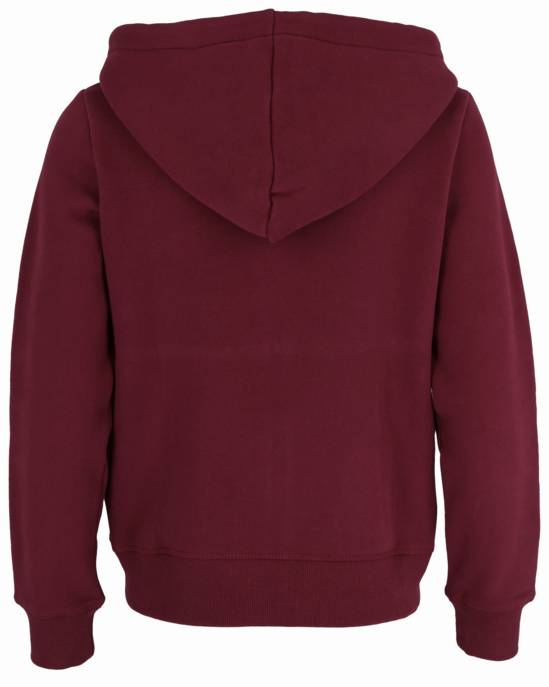 SUPERDRY LUXE METALLIC LOGO ZIPHOOD