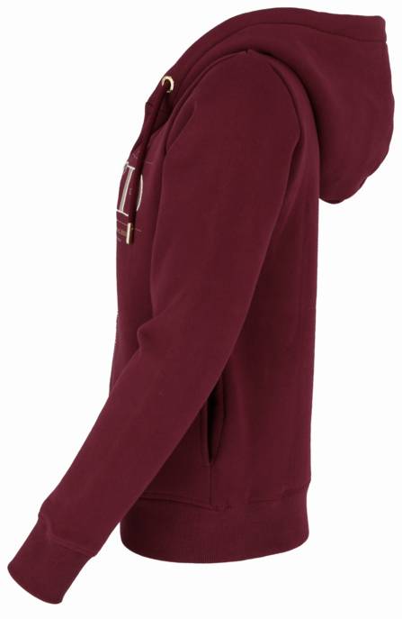 SUPERDRY LUXE METALLIC LOGO ZIPHOOD