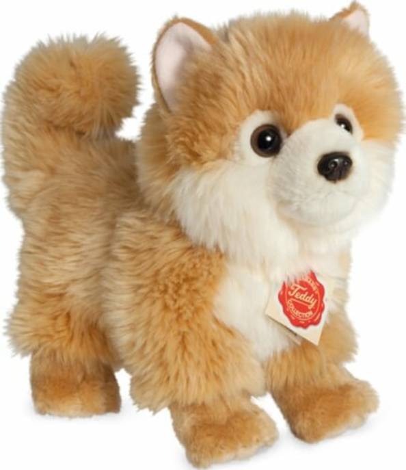 Teddy Hermann Hermann Zwergspitz, 22 cm