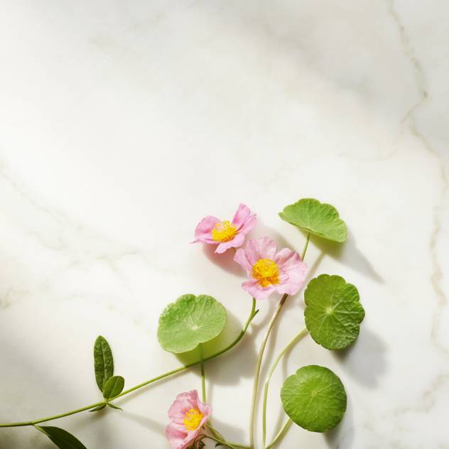 RITUALS The Ritual Of Namaste Ageless Firming Night Cream Refill