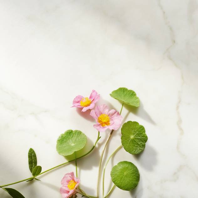 RITUALS The Ritual Of Namaste Ageless Firming Serum