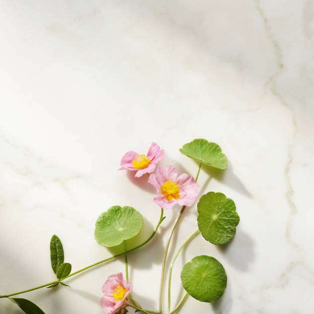 RITUALS The Ritual Of Namaste Ageless Firming Serum Refill