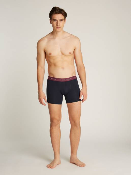 Tommy Hilfiger Boxershorts: 3P BOXER BRIEF WB