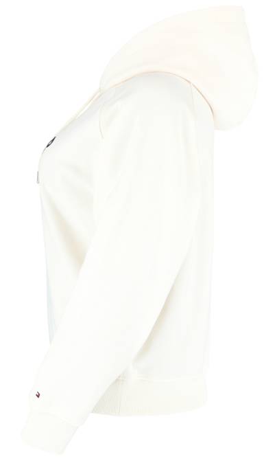 Tommy Hilfiger Curve College Hoodie