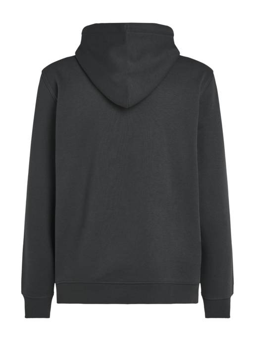 TOMMY JEANS TJM REG ESSENTIAL FLAG HOOD EXT