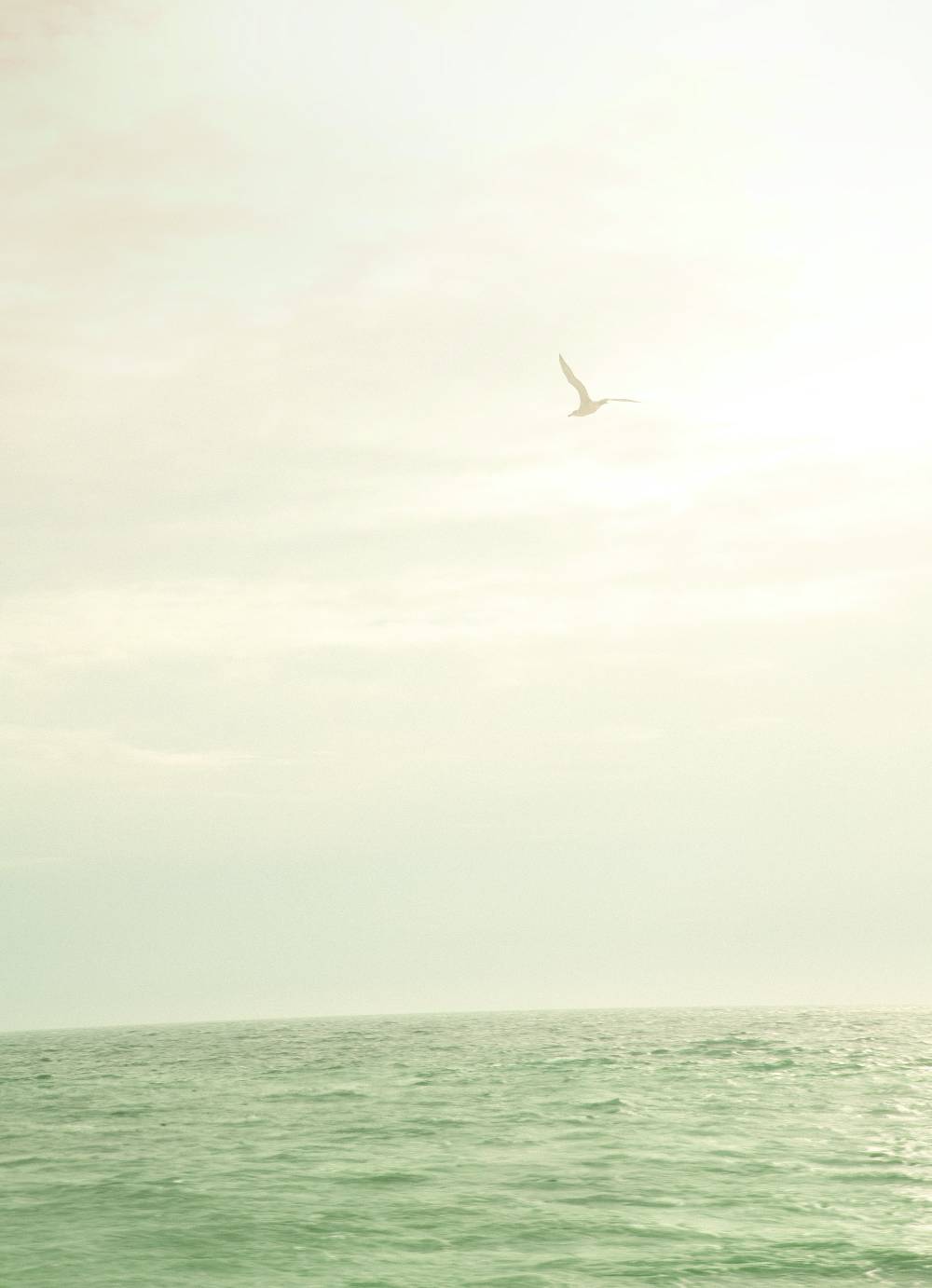 Juvia EASY For Her - Shower Gel Refill