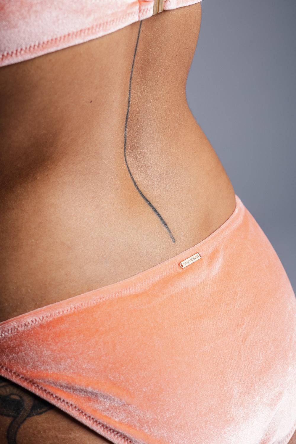 Karo Kauer Bikini Bottom Velvet