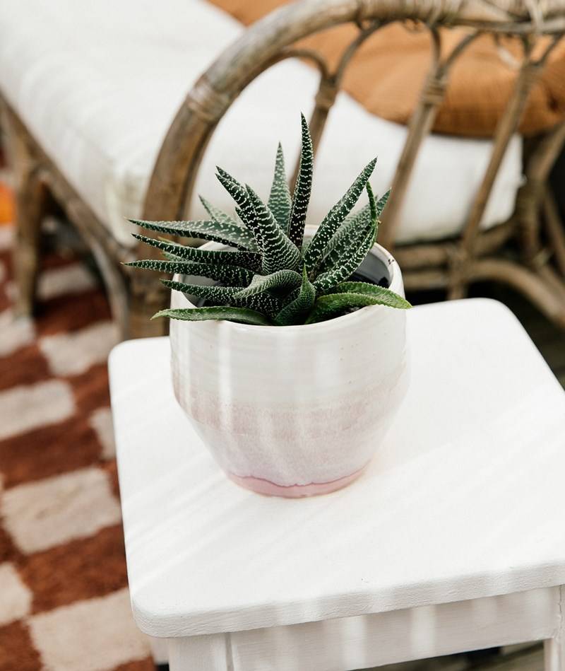 Kauf Dich Glücklich 2HAVE Pot Mallow (13x14) Blumentopf mehrfarbig