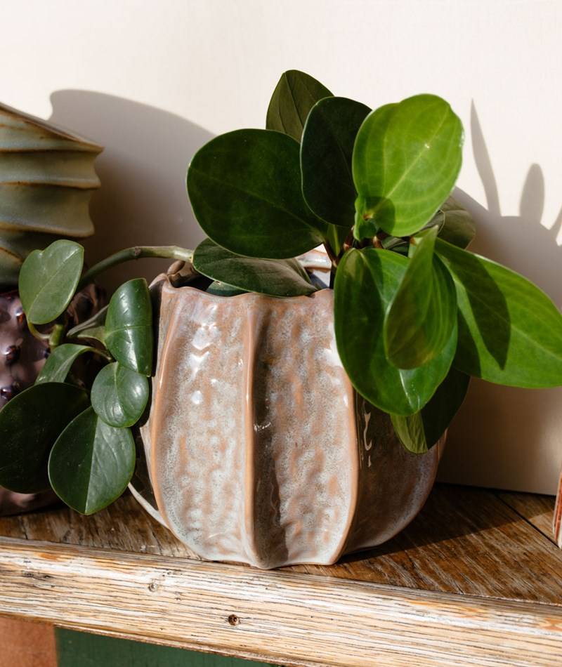 Kauf Dich Glücklich 2HAVE Pot Melon (15x18cm) Blumentopf Beige