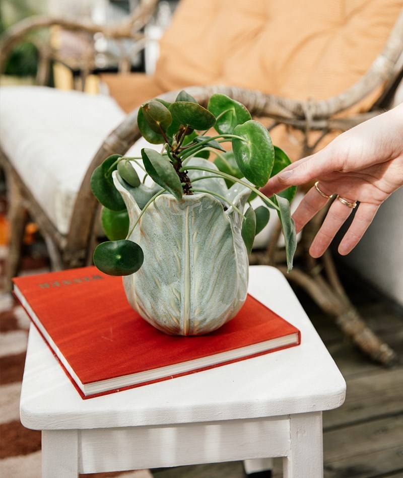 Kauf Dich Glücklich 2HAVE Pot Salat (16x15) Blumentopf Grün